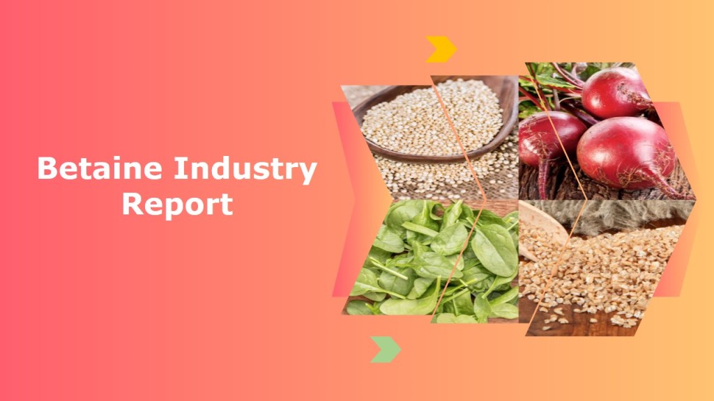 Betaine Market Growth Rate, Developing Trends, Manufacturers, Countries and  Application, Global Forecast To 2024 – viratab